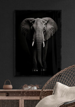 poster olifant 50x70cm woonkamer