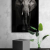 poster olifant met houten lijst woonkamer