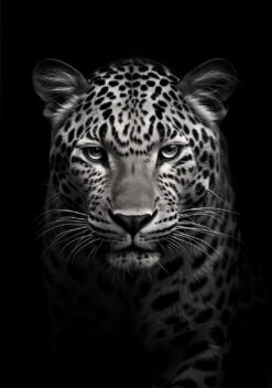 Luipaard poster voor de woonkamer