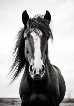 poster paard woonkamer