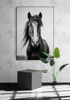 poster paard met houten lijst woonkamer
