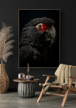 zwarte papegaai poster 50x70cm keuken