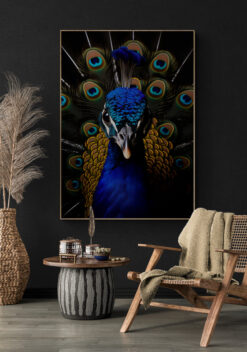 pauw portret poster 50x70cm keuken