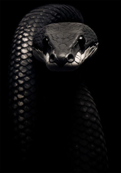 slang poster woonkamer