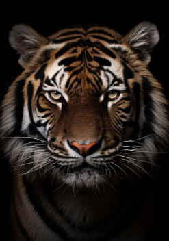 tijger poster woonkamer