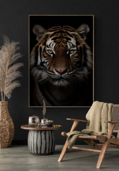 tijger portret poster 50x70cm keuken