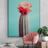 cactus I poster 50x70cm keuken