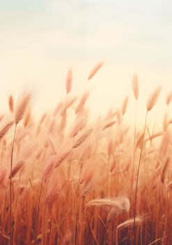 graanveld poster slaapkamer