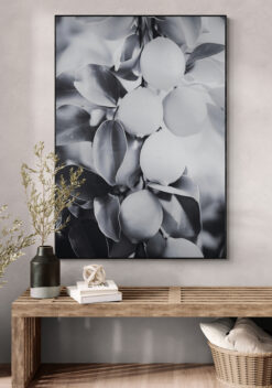 citroen zwart wit poster 50x70cm huiskamer