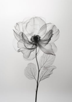 delicate wilde bloem poster keuken