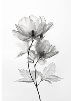 delicate wilde bloem no2 poster keuken